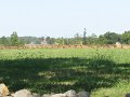Gettysburg 130